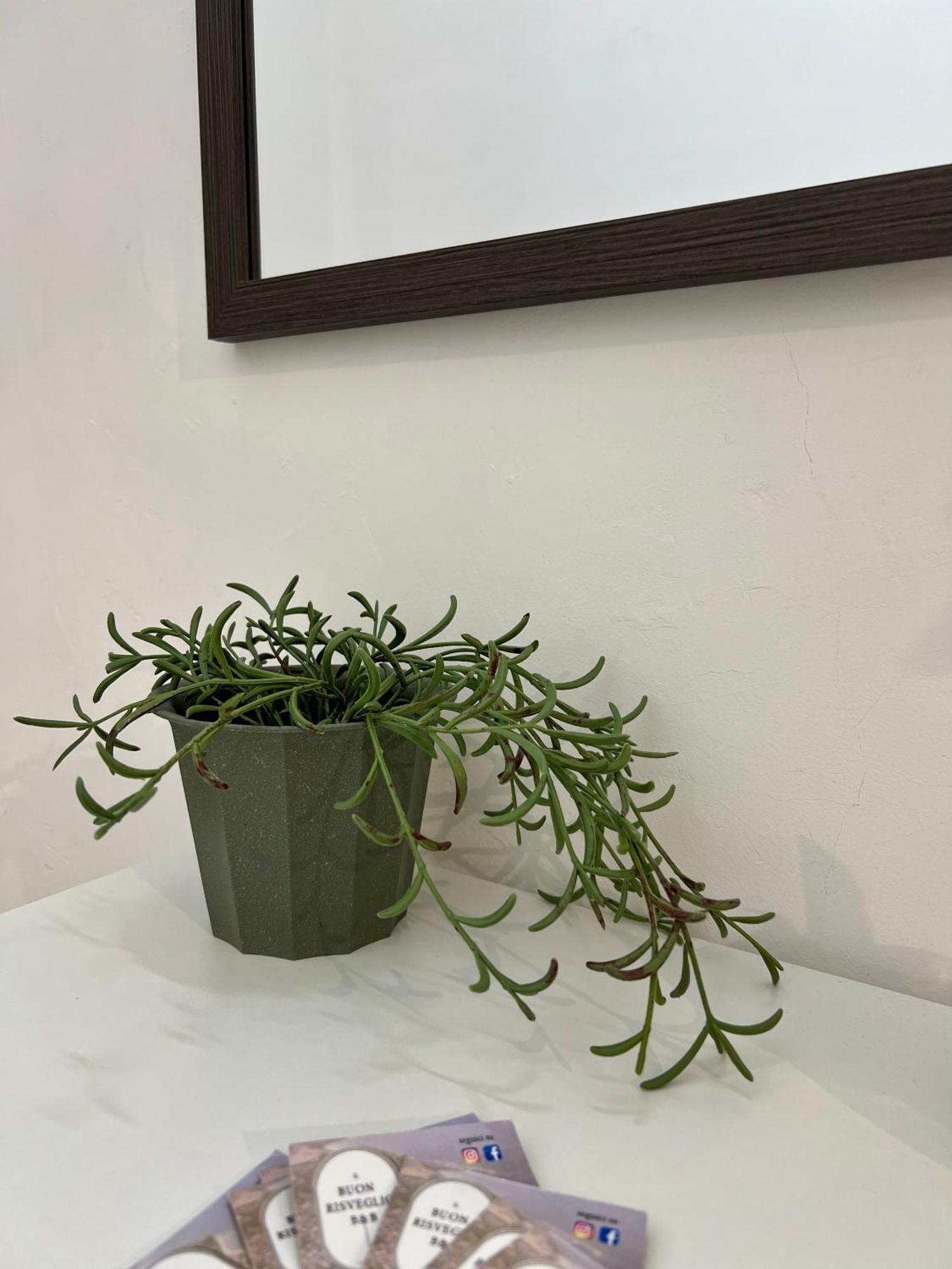 Il Buon Risveglio B&B Agropoli Ngoại thất bức ảnh